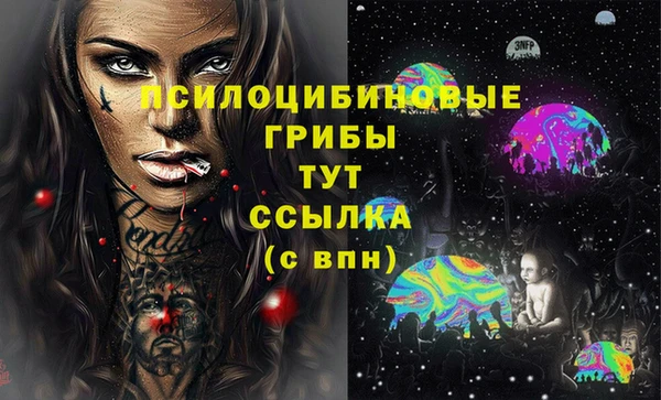 мдпв Семикаракорск