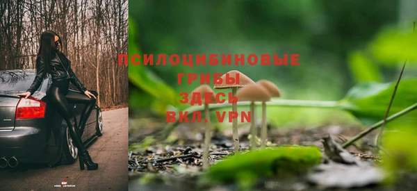 бошки Семилуки