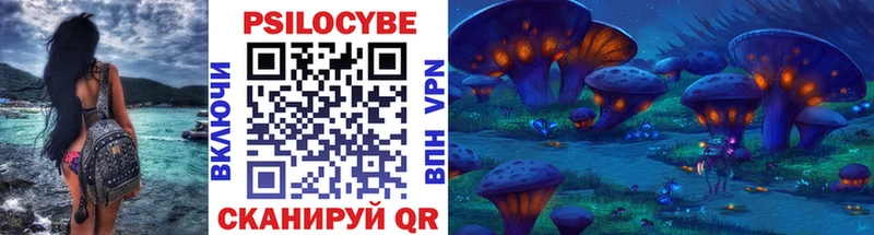 Галлюциногенные грибы Psilocybine cubensis  Купить где  Ардатов 